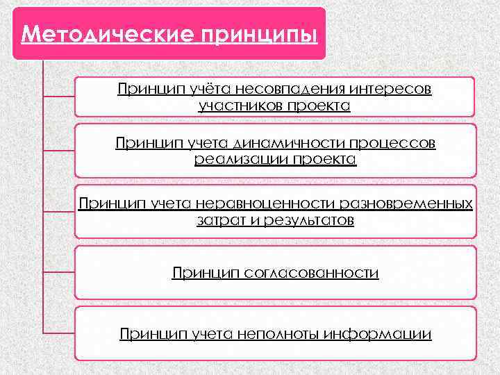 Методические принципы Принцип учёта несовпадения интересов участников проекта Принцип учета динамичности процессов реализации проекта
