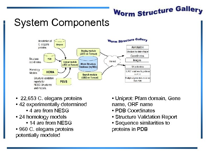 System Components • 22, 653 C. elegans proteins • 42 experimentally determined • 4