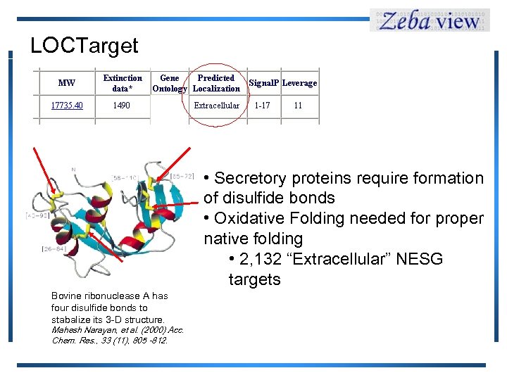 LOCTarget Bovine ribonuclease A has four disulfide bonds to stabalize its 3 -D structure.