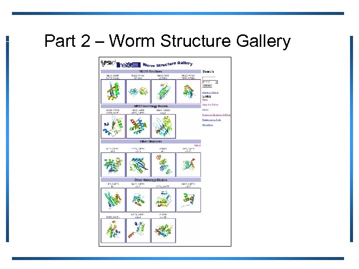 Part 2 – Worm Structure Gallery 