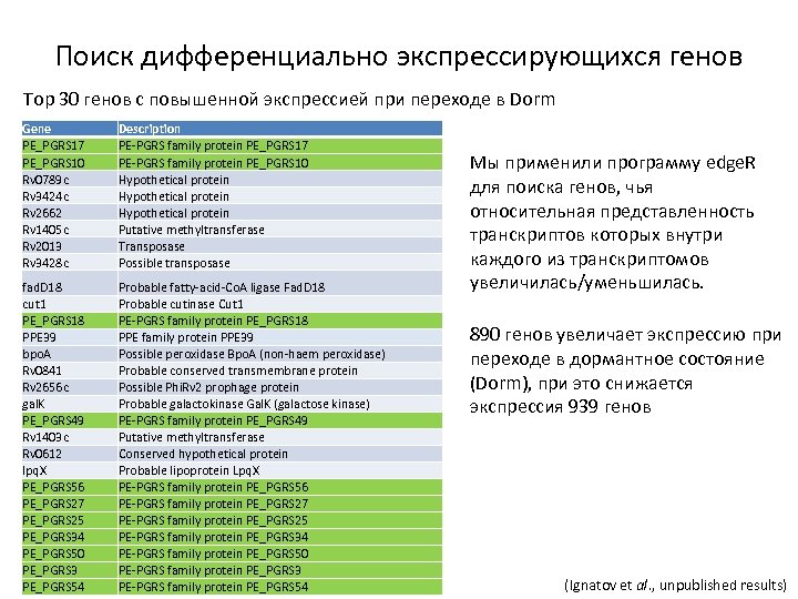 Поиск дифференциально экспрессирующихся генов Top 30 генов с повышенной экспрессией при переходе в Dorm