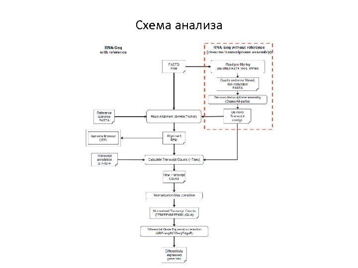 Схема анализа 