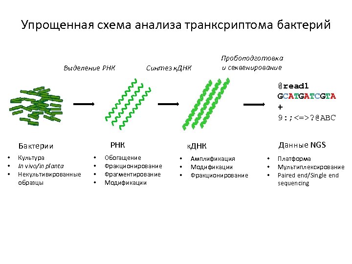 Схема секвенирования sbs