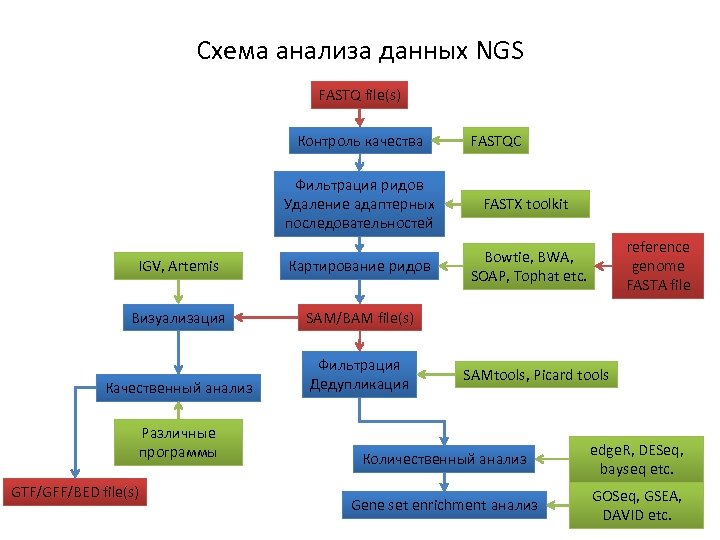 Схема анализа данных NGS FASTQ file(s) Контроль качества FASTQC Фильтрация ридов Удаление адаптерных последовательностей