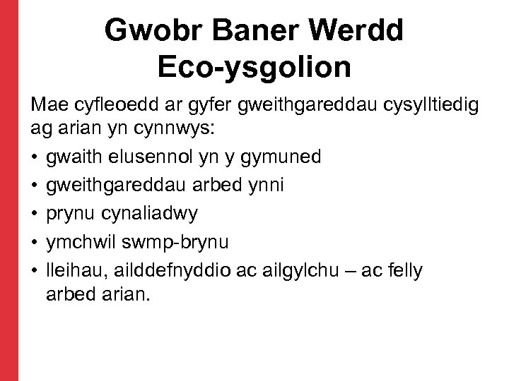 Gwobr Baner Werdd Eco-ysgolion Mae cyfleoedd ar gyfer gweithgareddau cysylltiedig ag arian yn cynnwys: