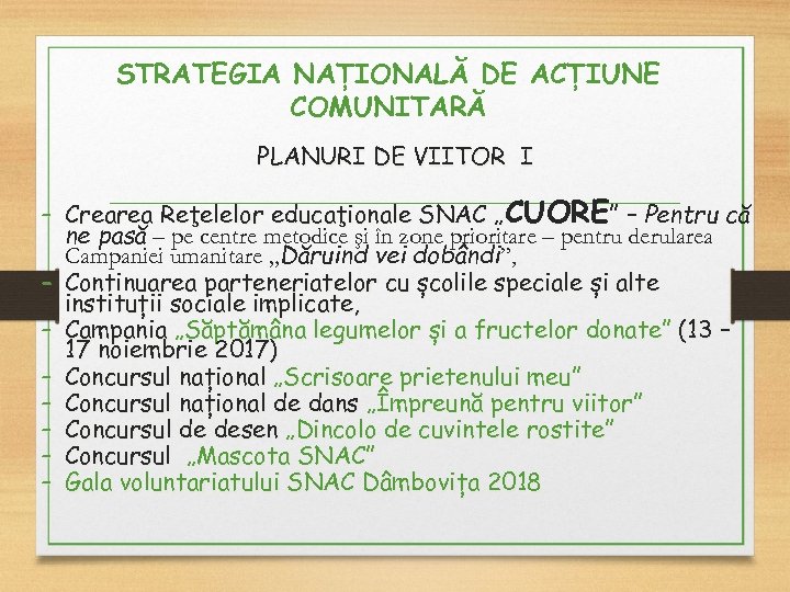 STRATEGIA NAȚIONALĂ DE ACȚIUNE COMUNITARĂ PLANURI DE VIITOR I - Crearea Reţelelor educaţionale SNAC