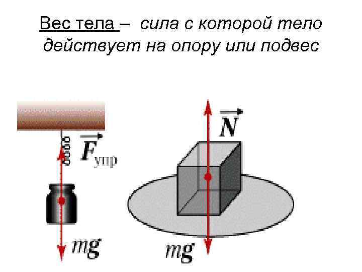 Вес тела – сила с которой тело действует на опору или подвес 