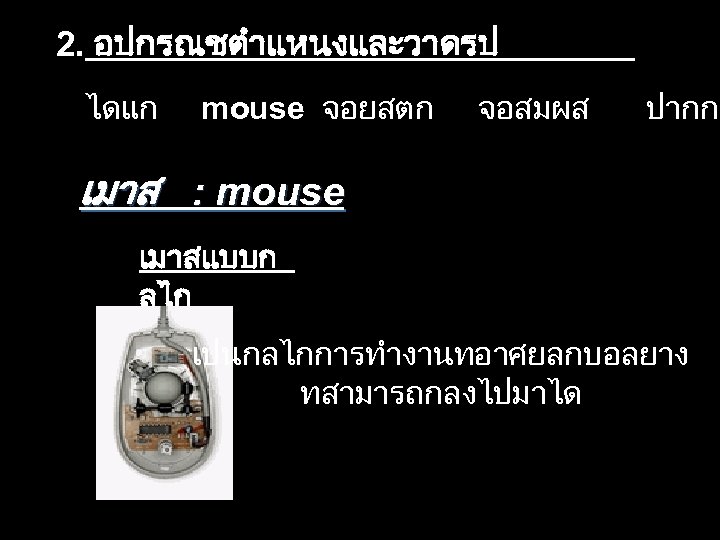 2. อปกรณชตำแหนงและวาดรป ไดแก mouse จอยสตก จอสมผส ปากกา เมาส : mouse เมาสแบบก ลไก เปนกลไกการทำงานทอาศยลกบอลยาง ทสามารถกลงไปมาได