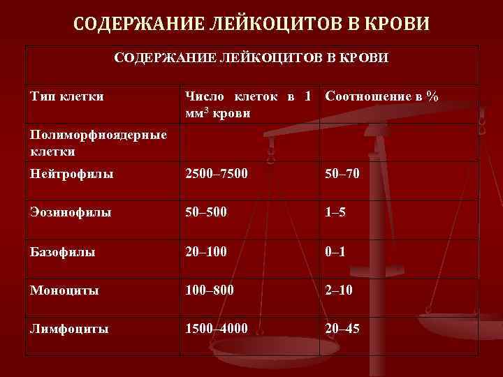СОДЕРЖАНИЕ ЛЕЙКОЦИТОВ В КРОВИ Тип клетки Число клеток в 1 Соотношение в % мм