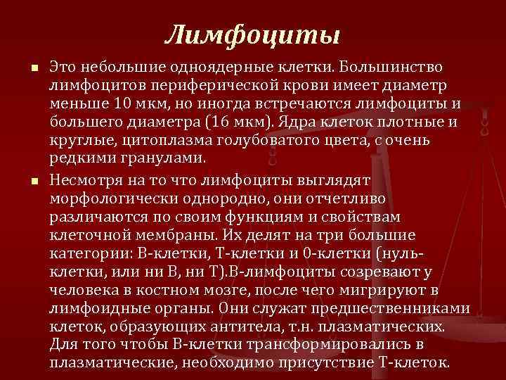 Лимфоциты n n Это небольшие одноядерные клетки. Большинство лимфоцитов периферической крови имеет диаметр меньше