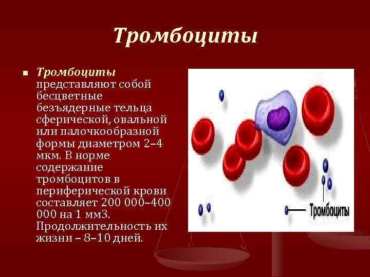 Безъядерные элементы крови