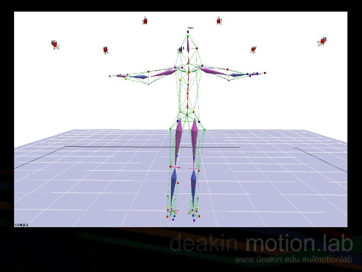 Cortex file – tendu segment 