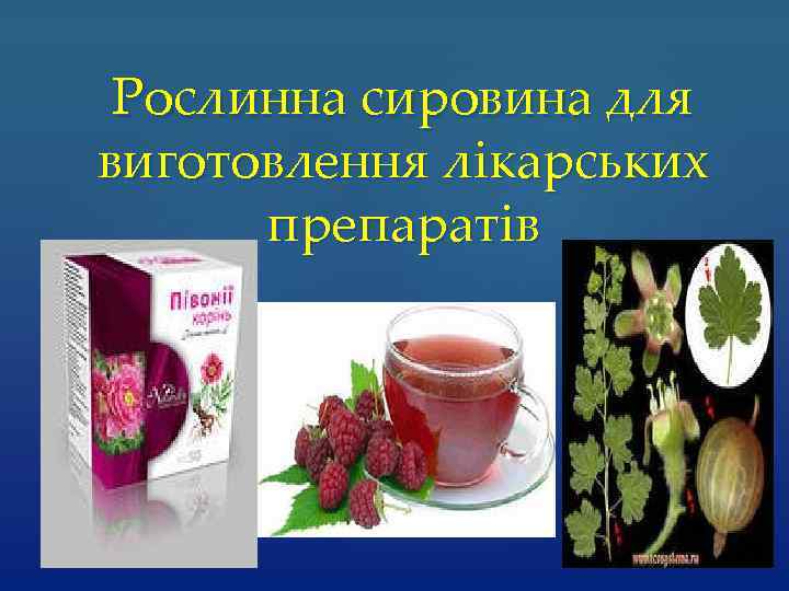 Рослинна сировина для виготовлення лікарських препаратів 