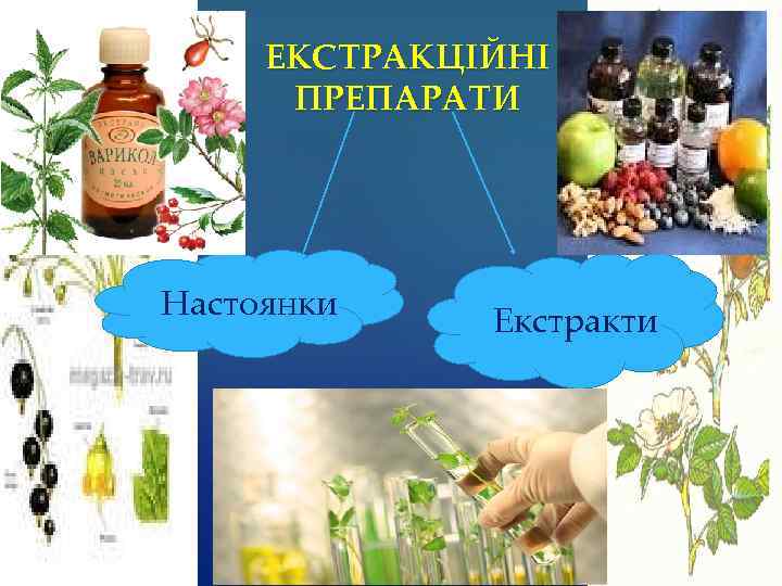 ЕКСТРАКЦІЙНІ ПРЕПАРАТИ Настоянки Екстракти 