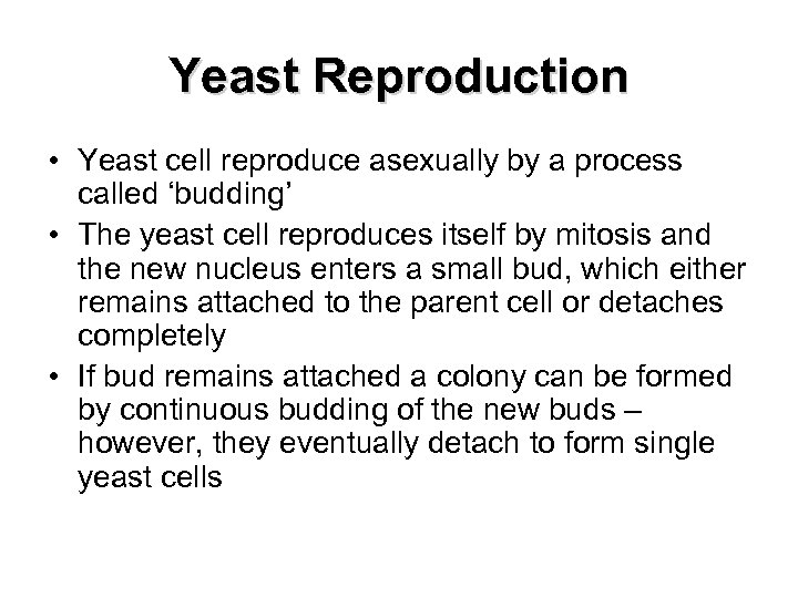 Yeast Reproduction • Yeast cell reproduce asexually by a process called ‘budding’ • The