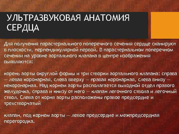 УЛЬТРАЗВУКОВАЯ АНАТОМИЯ СЕРДЦА Для получения парастернального поперечного сечения сердце сканируют в плоскости, перпендикулярной первой.