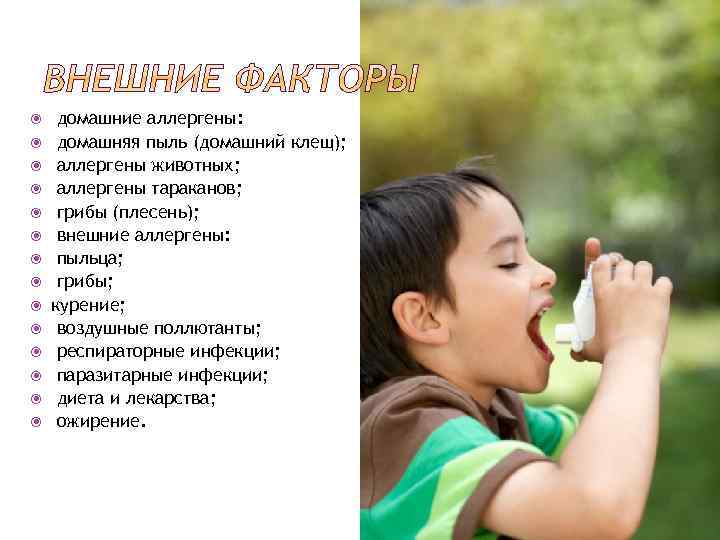  домашние аллергены: домашняя пыль (домашний клещ); аллергены животных; аллергены тараканов; грибы (плесень); внешние