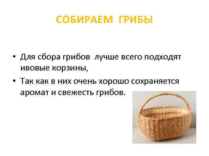 СОБИРАЕМ ГРИБЫ • Для сбора грибов лучше всего подходят ивовые корзины, • Так как