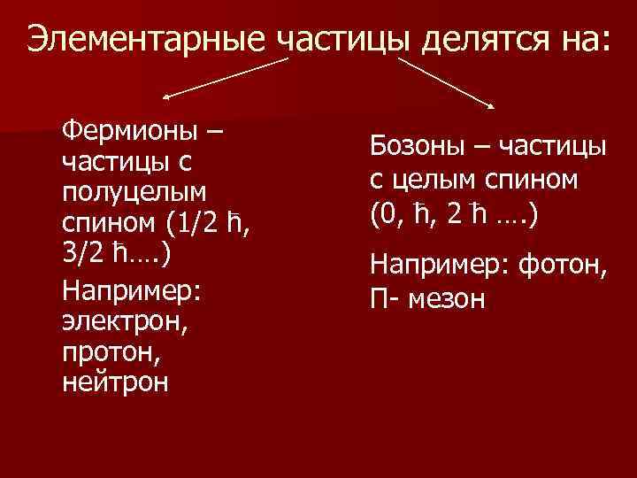 Элементарные частицы делятся на: Фермионы – частицы с полуцелым спином (1/2 h, 3/2 h….