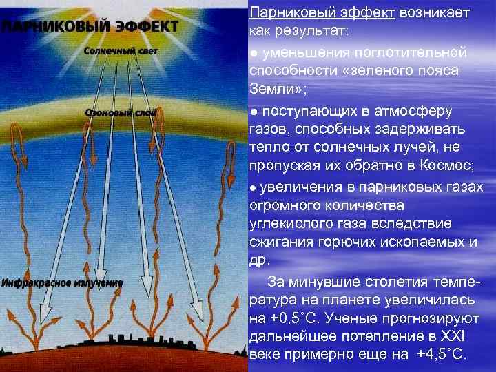 Парниковый эффект возникает как результат: ● уменьшения поглотительной способности «зеленого пояса Земли» ; ●