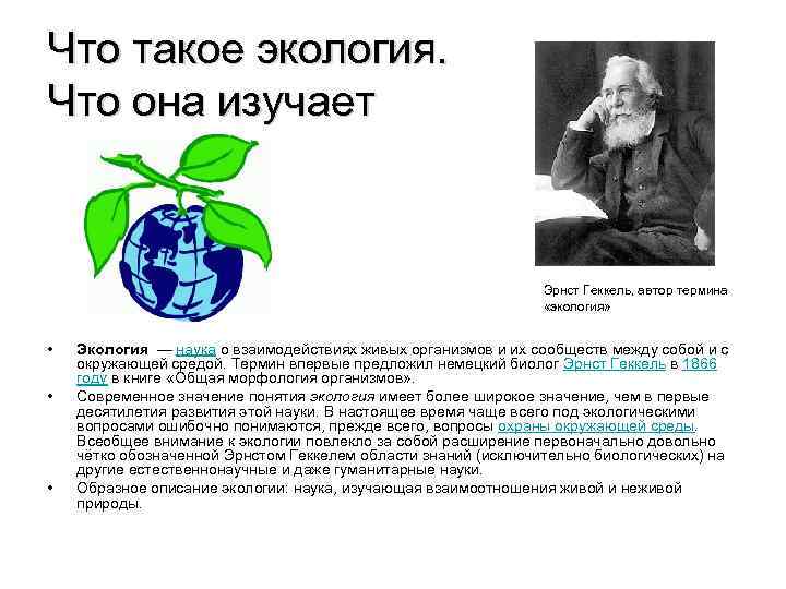 Что такое экология. Что она изучает Эрнст Геккель, автор термина «экология» • • •