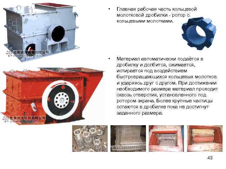  • Главная рабочая часть кольцевой молотковой дробилки - ротор с кольцевыми молотками. •