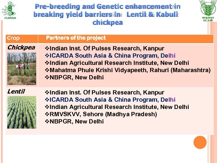 PRE-BREEDING AND GENETIC ENHANCEMENT IN BREAKING YIELD BARRIERS IN LENTIL & KABULI CHICKPEA Crop