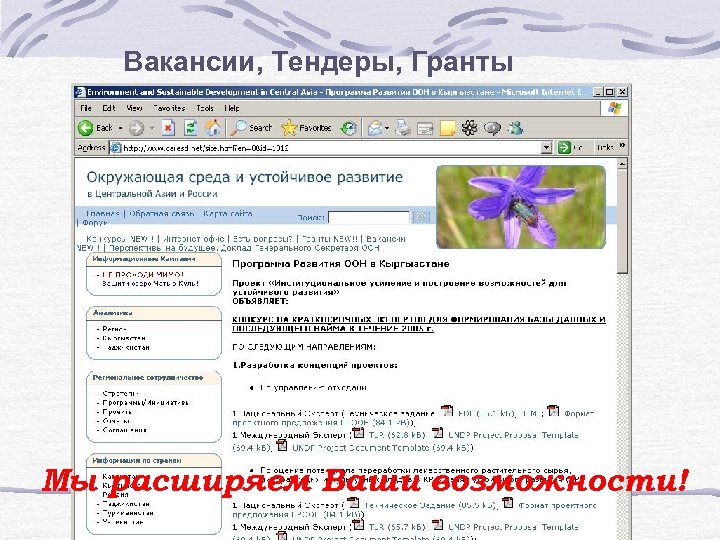Вакансии, Тендеры, Гранты Мы расширяем Ваши возможности! 