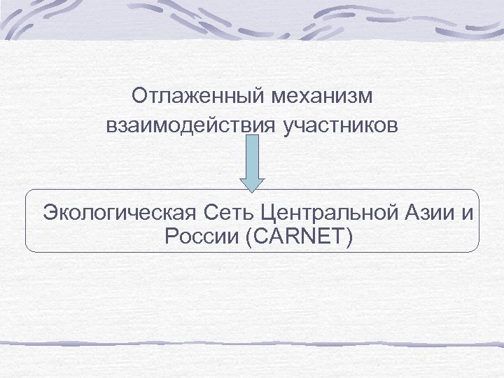 Отлаженный механизм взаимодействия участников Экологическая Сеть Центральной Азии и России (CARNET) 