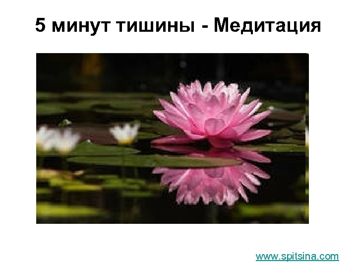 5 минут тишины - Медитация www. spitsina. com 