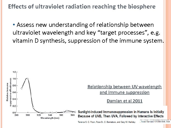 Effects of ultraviolet radiation reaching the biosphere • Assess new understanding of relationship between