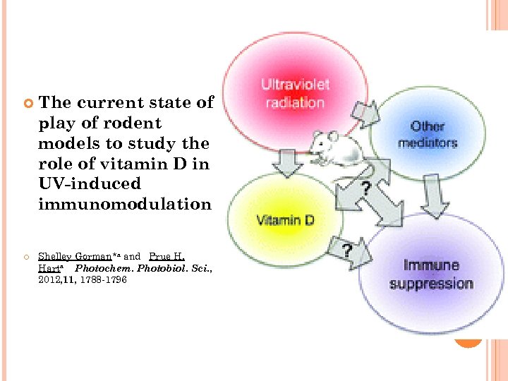  The current state of play of rodent models to study the role of