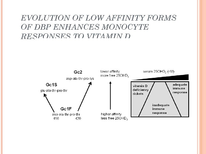 EVOLUTION OF LOW AFFINITY FORMS OF DBP ENHANCES MONOCYTE RESPONSES TO VITAMIN D. 