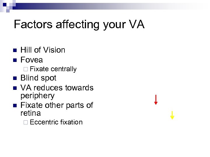 Factors affecting your VA n n Hill of Vision Fovea ¨ Fixate n n