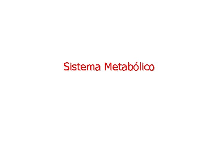 Sistema Metabólico 
