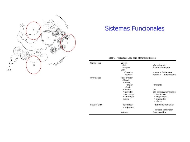 Sistemas Funcionales 