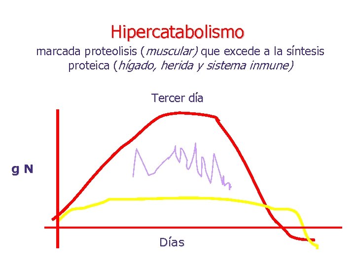 Hipercatabolismo marcada proteolisis (muscular) que excede a la síntesis proteica (hígado, herida y sistema