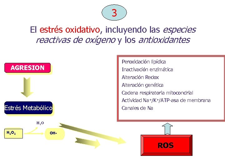 3 El estrés oxidativo, incluyendo las especies reactivas de oxígeno y los antioxidantes Peroxidación