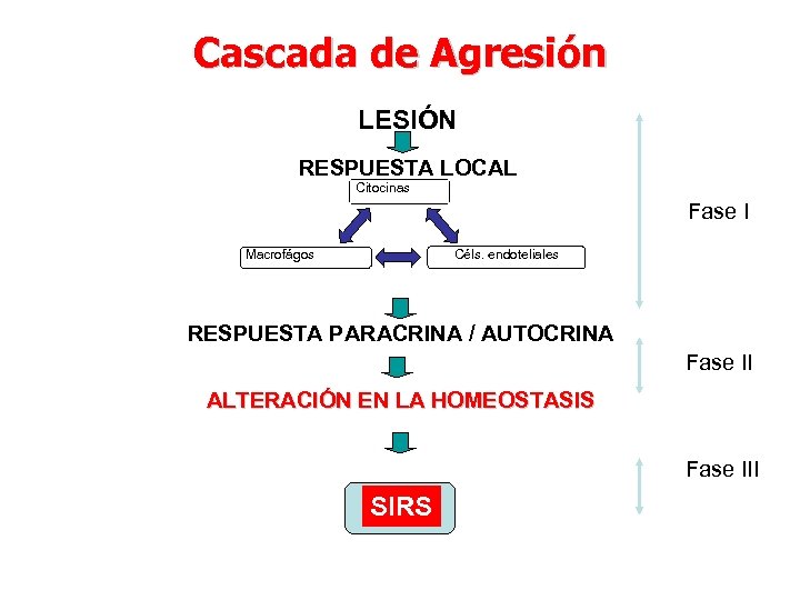 Cascada de Agresión LESIÓN RESPUESTA LOCAL Citocinas Fase I Macrofágos Céls. endoteliales RESPUESTA PARACRINA