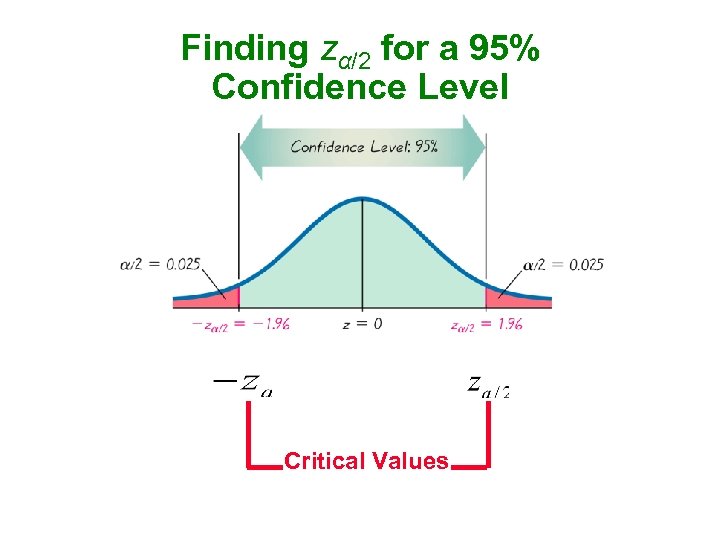 Finding zα/2 for a 95% Confidence Level Critical Values 