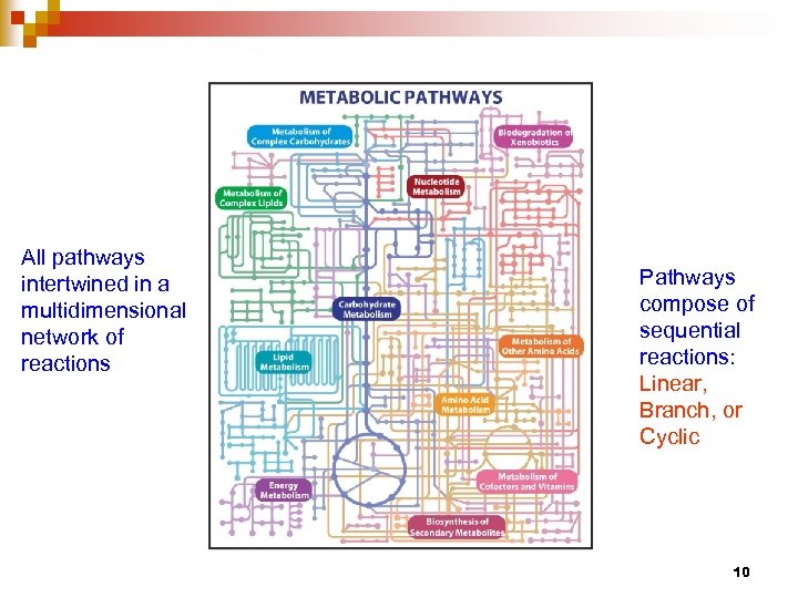 All pathways intertwined in a multidimensional network of reactions Pathways compose of sequential reactions: