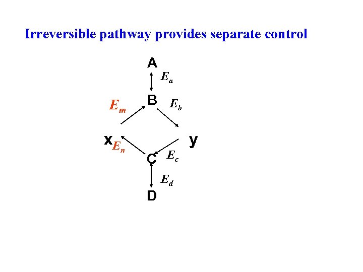 Irreversible pathway provides separate control A Em x. E n Ea B Eb C