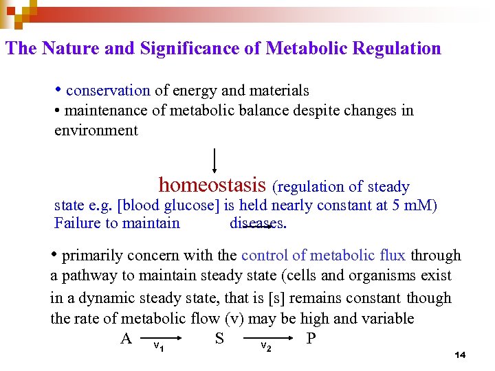 The Nature and Significance of Metabolic Regulation • conservation of energy and materials •