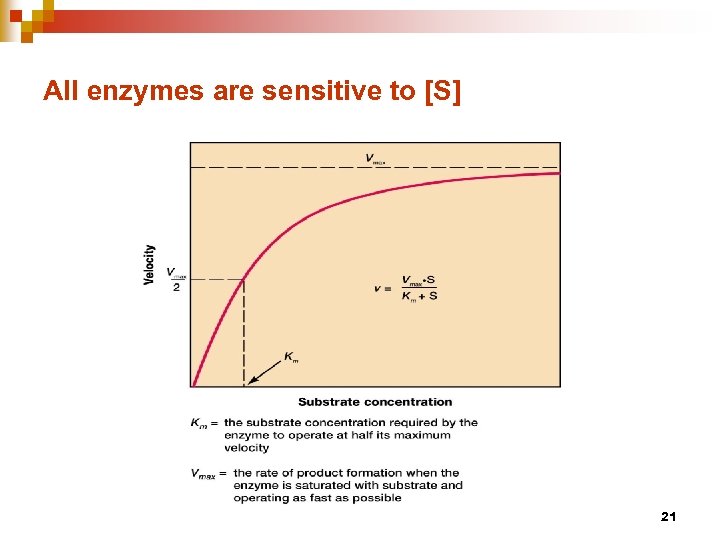 All enzymes are sensitive to [S] 21 