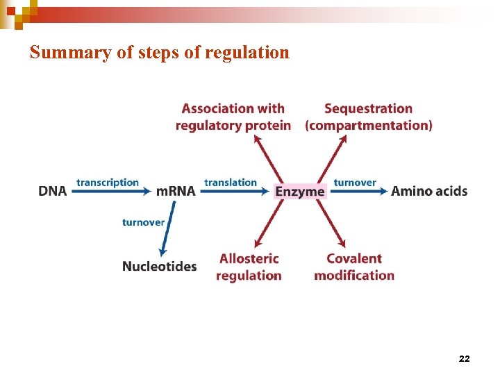 Summary of steps of regulation 22 