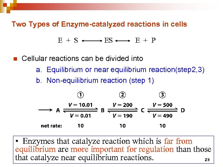 Two Types of Enzyme-catalyzed reactions in cells E + S n ES E +