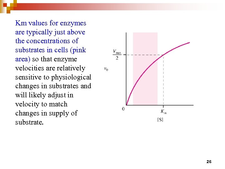 Km values for enzymes are typically just above the concentrations of substrates in cells