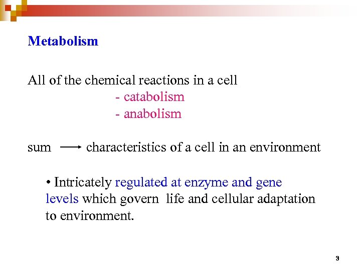 Metabolism All of the chemical reactions in a cell - catabolism - anabolism sum