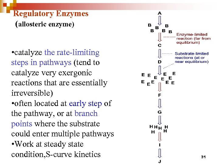 Regulatory Enzymes (allosteric enzyme) • catalyze the rate-limiting steps in pathways (tend to catalyze