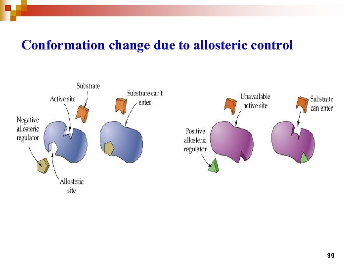 Conformation change due to allosteric control 39 